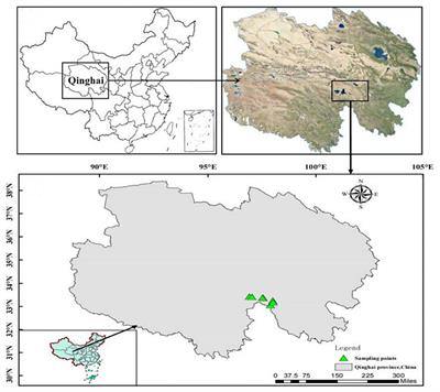 Effects of Strong Earthquake on Plant Species Composition, Diversity, and Productivity of Alpine Grassland on Qinghai-Tibetan Plateau